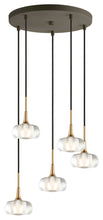 Load image into Gallery viewer, Woodbridge Lighting Christina 5-Light Cluster Pendant, Brass/Bronze